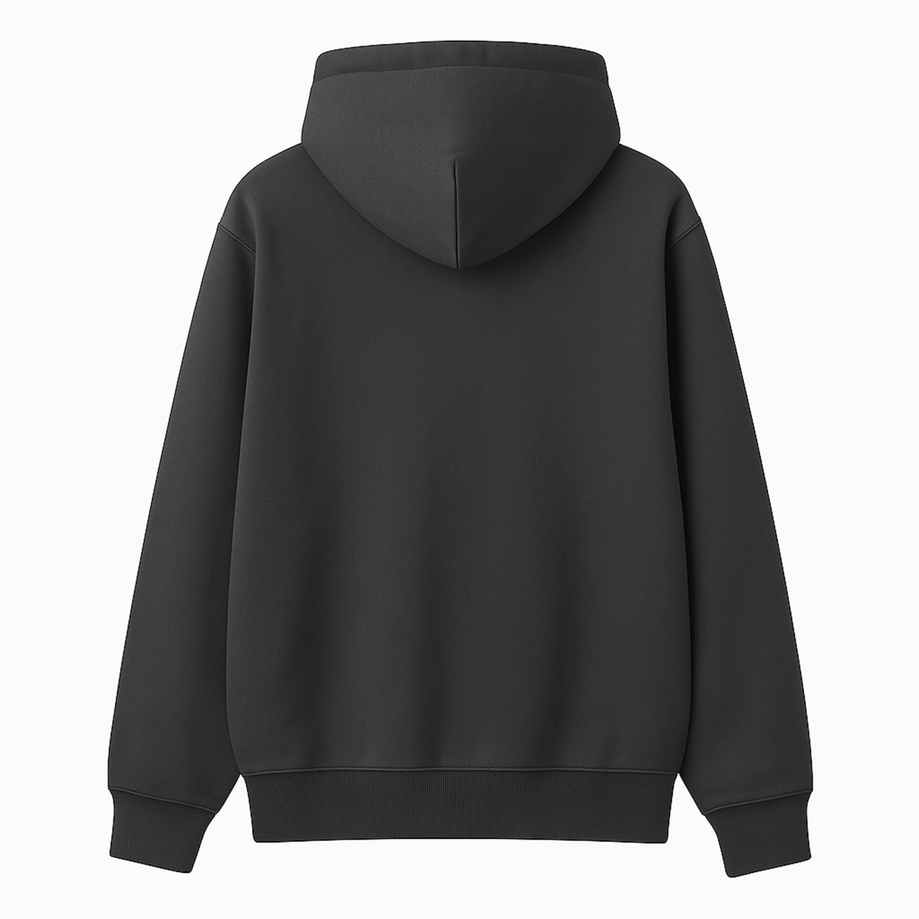 “BADAPPLE! // REBIRTH" SHADOW 450 GSM Oversized Heavy Sweatshirt